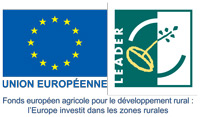 logo Feder UE