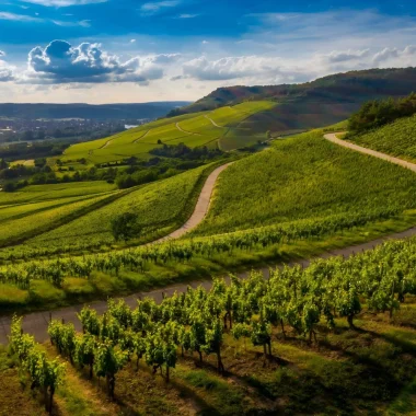 Les Semaines du Tourisme Économique et des Savoir-Faire à Saint-Louis 3 Pays