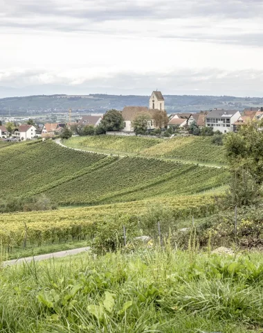Markgräflerland