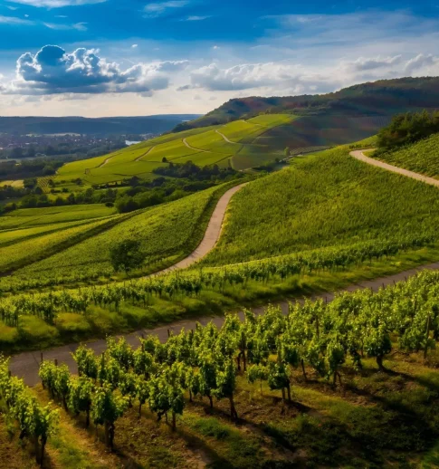 Les Semaines du Tourisme Économique et des Savoir-Faire à Saint-Louis 3 Pays